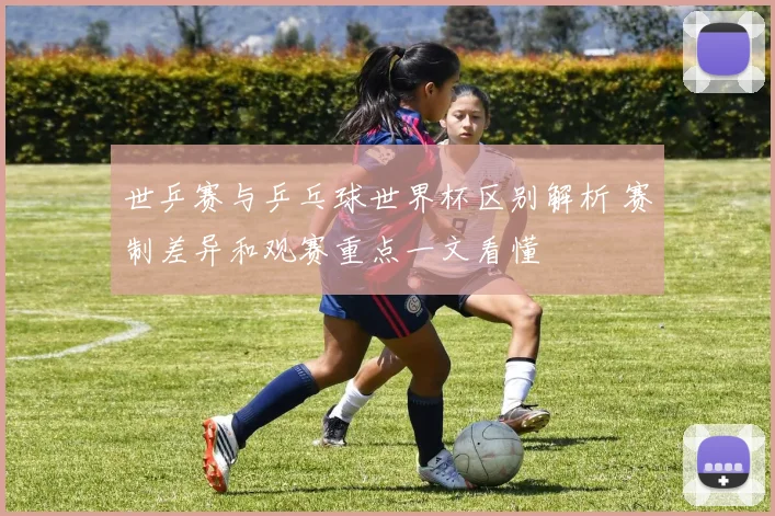 世乒赛与乒乓球世界杯区别解析 赛制差异和观赛重点一文看懂