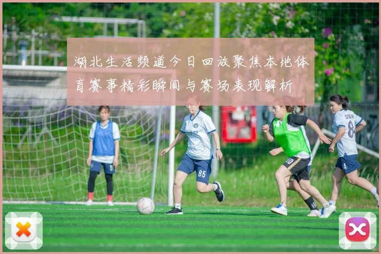 湖北生活频道今日回放聚焦本地体育赛事精彩瞬间与赛场表现解析