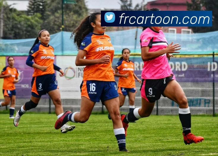 多媒体互动体验